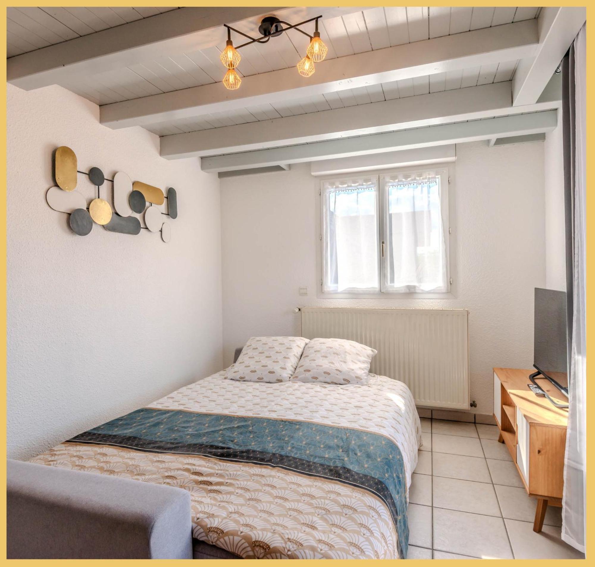 Ferienwohnung Le Faucigny Saint-Pierre-en-Faucigny Exterior foto